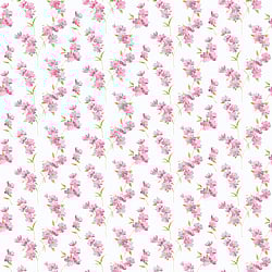 Galerie Wallcoverings Product Code: PR33849 - Floral Prints 2 Wallpaper Collection Galerie Wallcoverings Product Code PR33849 - Floral Prints 2 Wallpaper Collection -