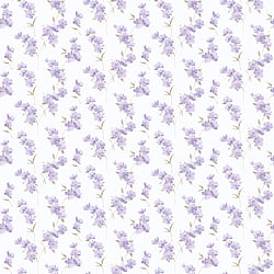 Galerie Wallcoverings Product Code: PR33850 - Floral Prints 2 Wallpaper Collection Galerie Wallcoverings Product Code PR33850 - Floral Prints 2 Wallpaper Collection -
