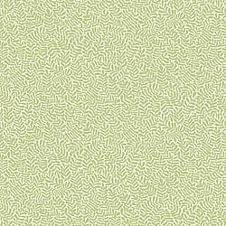 Galerie Wallcoverings Product Code: S55001 - Sommarang Wallpaper Collection Galerie Wallcoverings Product Code S55001 - Sommarang Wallpaper Collection - Light green Colours - Mono Leaf Design