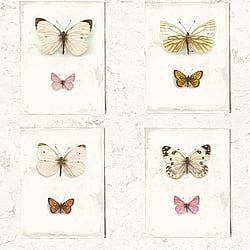 Galerie Wallcoverings Product Code: SD2001 - Splendour Wallpaper Collection Galerie Wallcoverings Product Code SD2001 - Splendour Wallpaper Collection -