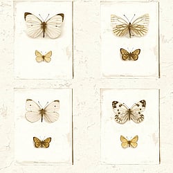 Galerie Wallcoverings Product Code: SD2002 - Splendour Wallpaper Collection Galerie Wallcoverings Product Code SD2002 - Splendour Wallpaper Collection -