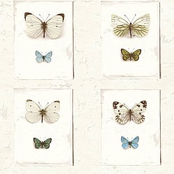 Galerie Wallcoverings Product Code: SD2022 - Splendour Wallpaper Collection Galerie Wallcoverings Product Code SD2022 - Splendour Wallpaper Collection -