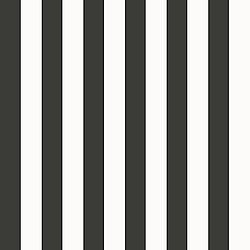 Galerie Wallcoverings Product Code: SS21231 - Style Sisters Classic Wallpaper Collection Galerie Wallcoverings Product Code SS21231 - Style Sisters Classic Wallpaper Collection - Thin Stripe Black Design