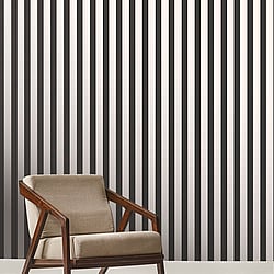 Galerie Wallcoverings Product Code: SS21231 - Style Sisters Classic Wallpaper Collection Galerie Wallcoverings Product Code SS21231 - Style Sisters Classic Wallpaper Collection - Thin Stripe Black Design