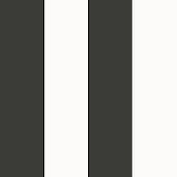 Galerie Wallcoverings Product Code: SS21235 - Style Sisters Classic Wallpaper Collection Galerie Wallcoverings Product Code SS21235 - Style Sisters Classic Wallpaper Collection - Wide Stripe Black Design