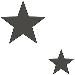 Galerie Wallcoverings Product Code: SS21254 - Style Sisters Classic Wallpaper Collection Galerie Wallcoverings Product Code SS21254 - Style Sisters Classic Wallpaper Collection - Double Star Black Design
