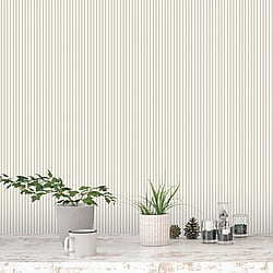 Galerie Wallcoverings Product Code: ST36905 - Simply Stripes 3 Wallpaper Collection Galerie Wallcoverings Product Code ST36905 - Simply Stripes 3 Wallpaper Collection - Greige Colours - Regency Stripe Design