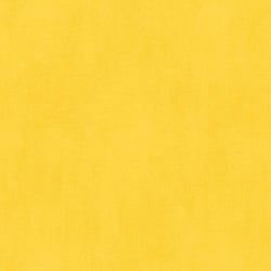 Galerie Wallcoverings Product Code: WU17604 - Whats Up Wallpaper Collection Galerie Wallcoverings Product Code WU17604 - Whats Up Wallpaper Collection -