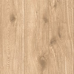 Galerie Wallcoverings Product Code: WW22219 - Woods And Wicker Wallpaper Collection Galerie Wallcoverings Product Code WW22219 - Woods And Wicker Wallpaper Collection - Beige Brown Colours - Forest Wood Effect Motif Design
