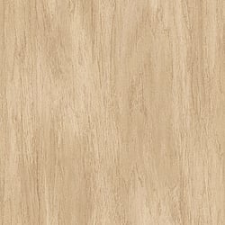 Galerie Wallcoverings Product Code: WW22223 - Woods And Wicker Wallpaper Collection Galerie Wallcoverings Product Code WW22223 - Woods And Wicker Wallpaper Collection - Beige Colours - Wood Effect Motif Design