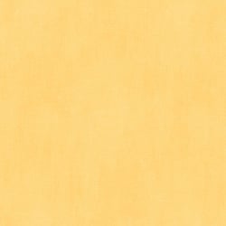 Galerie Wallcoverings Product Code: YH17909 - Young At Home Wallpaper Collection Galerie Wallcoverings Product Code YH17909 - Young At Home Wallpaper Collection -
