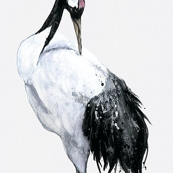 Galerie Wallcoverings Product Code 34594 - Kumano Wallpaper Collection - White, Black Colours -  