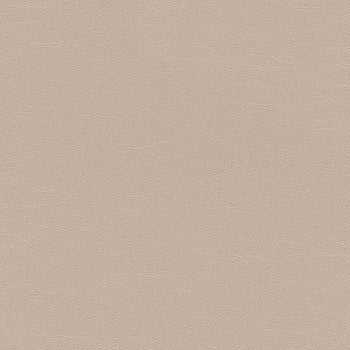Galerie Wallcoverings Product Code 474251 - African Queen 2 Wallpaper Collection -   