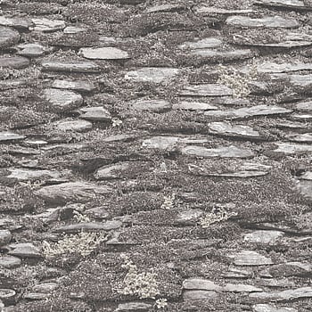 Galerie Wallcoverings Product Code 7337 - Evergreen Wallpaper Collection - Grey Colours -  